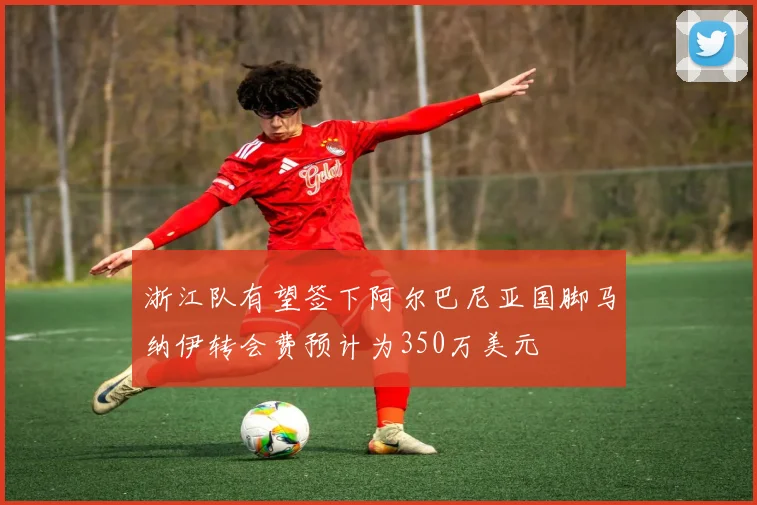 浙江队有望签下阿尔巴尼亚国脚马纳伊转会费预计为350万美元
