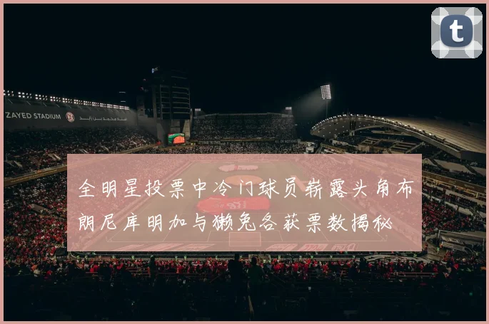 全明星投票中冷门球员崭露头角布朗尼库明加与獭兔各获票数揭秘