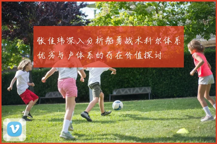 张佳玮深入分析船勇战术科尔体系优劣与卢体系的存在价值探讨