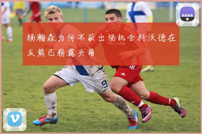 杨瀚森为何不获出场机会科沃德在灰熊已崭露头角