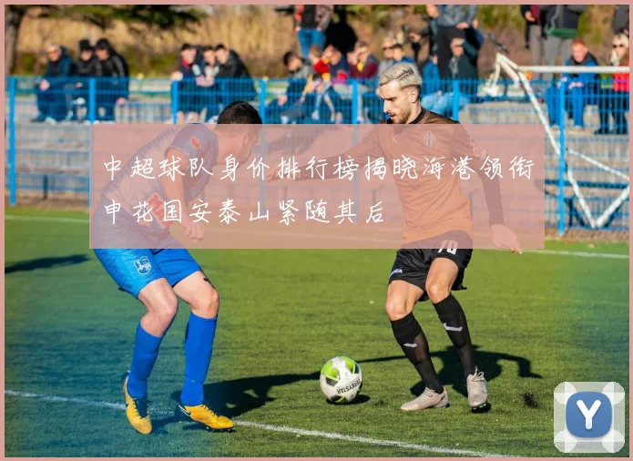 中超球队身价排行榜揭晓海港领衔申花国安泰山紧随其后