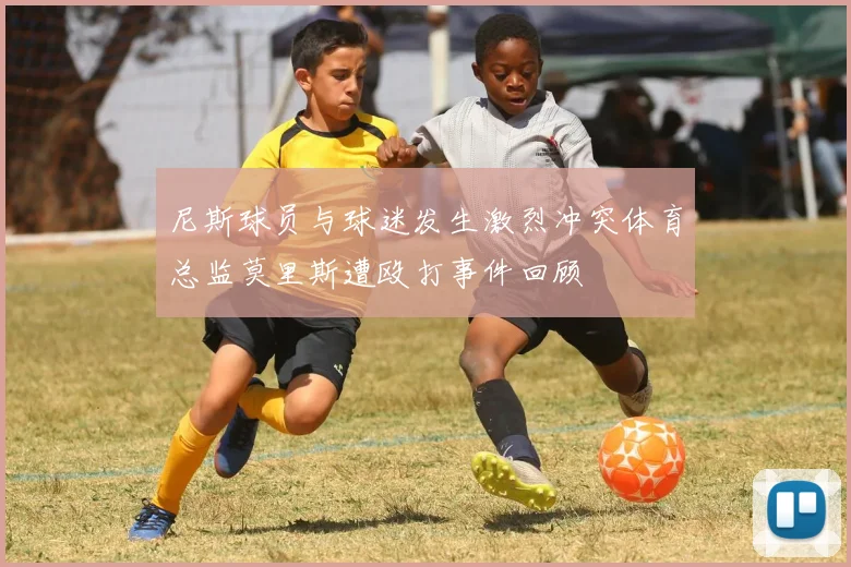 尼斯球员与球迷发生激烈冲突体育总监莫里斯遭殴打事件回顾