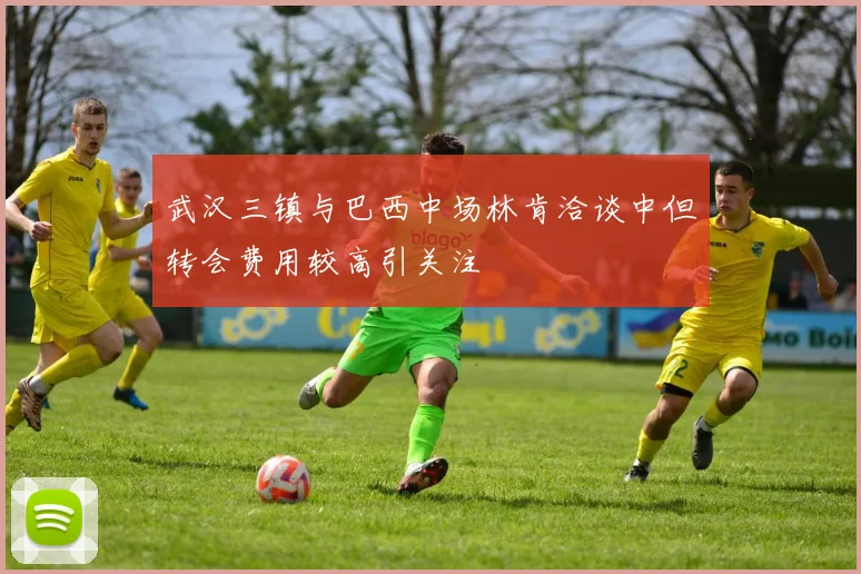 武汉三镇与巴西中场林肯洽谈中但转会费用较高引关注