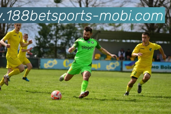 188bet体育APP 封面图